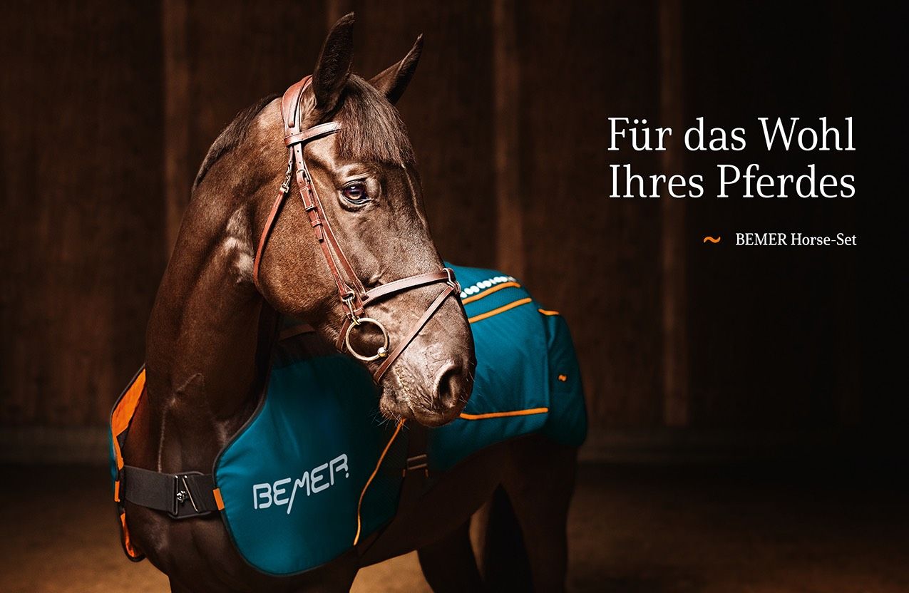 Read more about the article BEMER Horse-Set